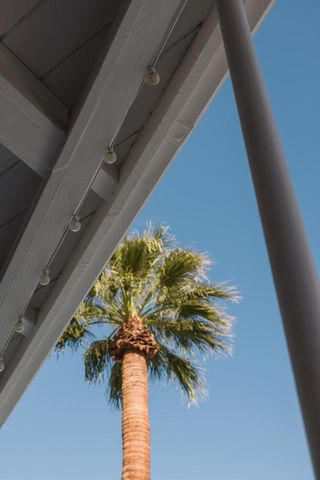 748 N Calle Rolph, Palm Springs, CA 92262