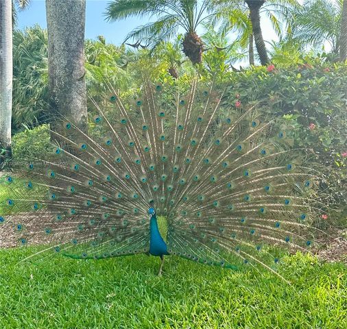 13633 Deering Bay Dr 256, Coral Gables, FL 33158