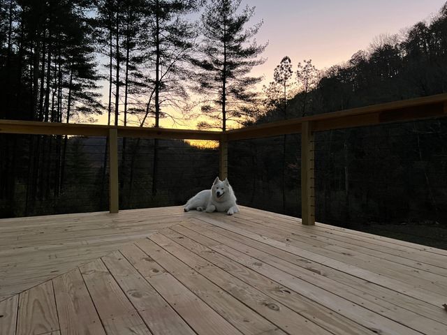 656 WILDLIFE DR, Lost City, WV 26810