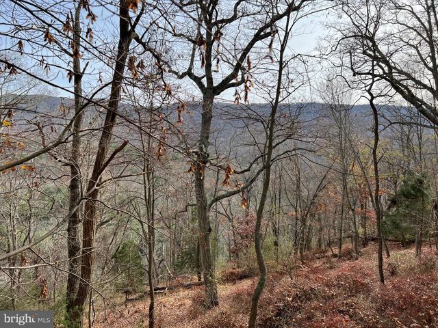 656 WILDLIFE DR, Lost City, WV 26810