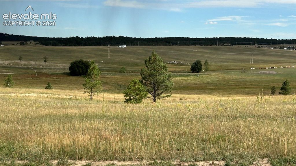 18835 Cherry Springs Ranch Drive, Monument, CO 80132 — photo 2