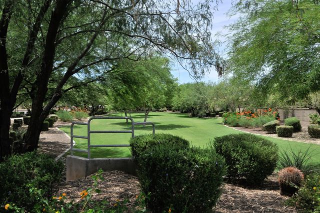 4351 E SELENA Drive, Phoenix, AZ 85050