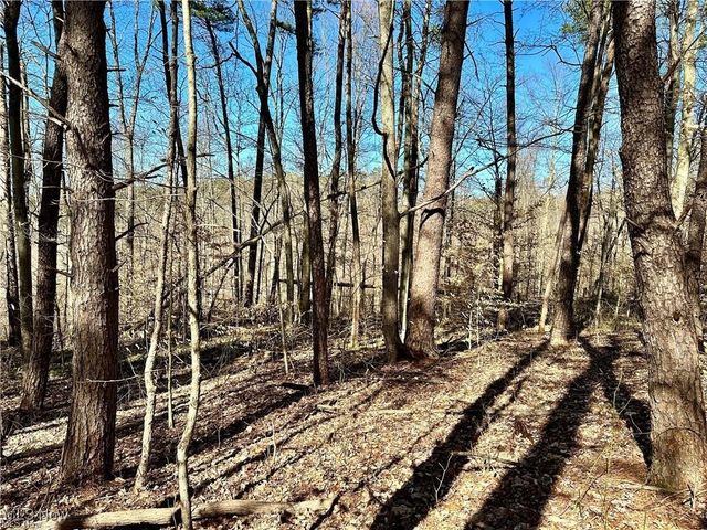 0 Fisher Ridge Rd, Tract 7, Fleming, OH 45729