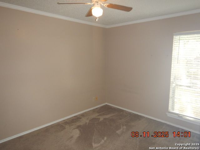 4402 Grantilly St, San Antonio, TX 78217