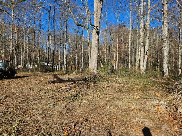 Lot 18 W Mountain Meadows Drive W, Shooting Creek, NC 28904