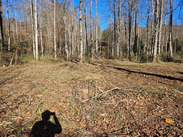 Lot 18 W Mountain Meadows Drive W, Shooting Creek, NC 28904