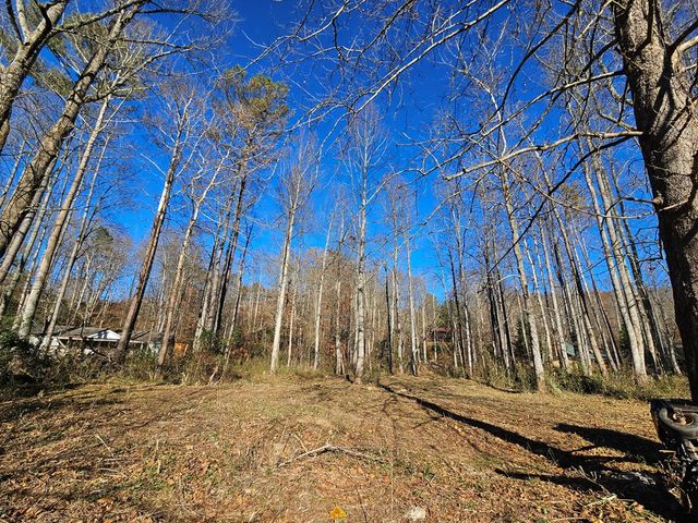 Lot 18 W Mountain Meadows Drive W, Shooting Creek, NC 28904
