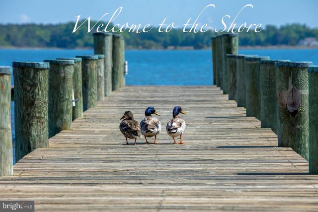 1109 GRASONVILLE CEMETERY RD, Grasonville, MD 21638