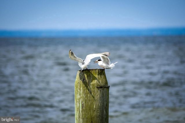 1109 GRASONVILLE CEMETERY RD, Grasonville, MD 21638