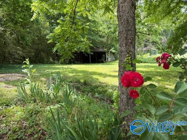 5109 Old Moulton Road, Decatur, AL 35603