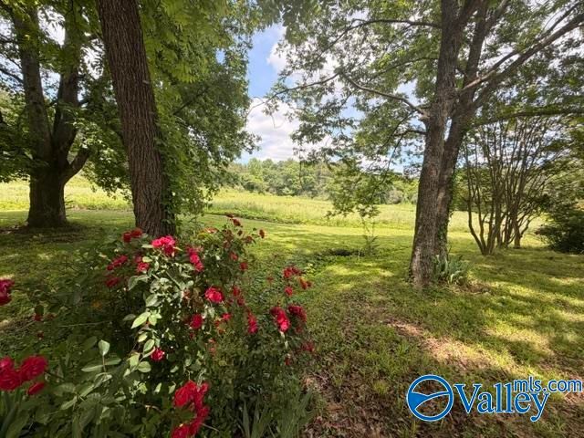 5109 Old Moulton Road, Decatur, AL 35603