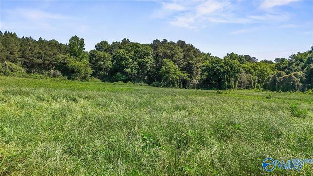 5109 Old Moulton Road, Decatur, AL 35603
