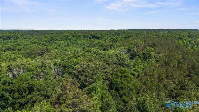 5109 Old Moulton Road, Decatur, AL 35603