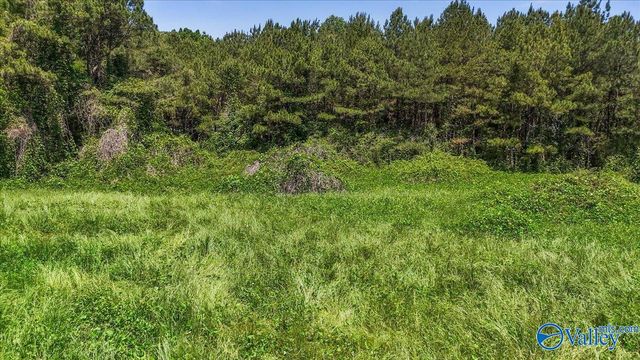 5109 Old Moulton Road, Decatur, AL 35603
