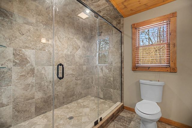 57 Timber Ridge Drive, Blue Ridge, GA 30513