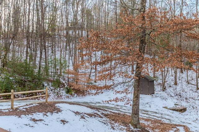 57 Timber Ridge Drive, Blue Ridge, GA 30513