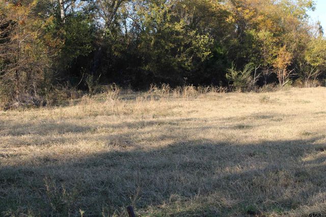 TBD CR 3415, Wills Point, TX 75169