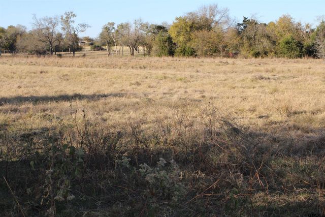 TBD CR 3415, Wills Point, TX 75169