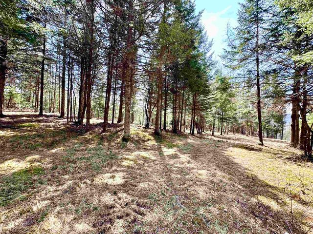 TBD Hollow Road, Stewartstown, NH 03576