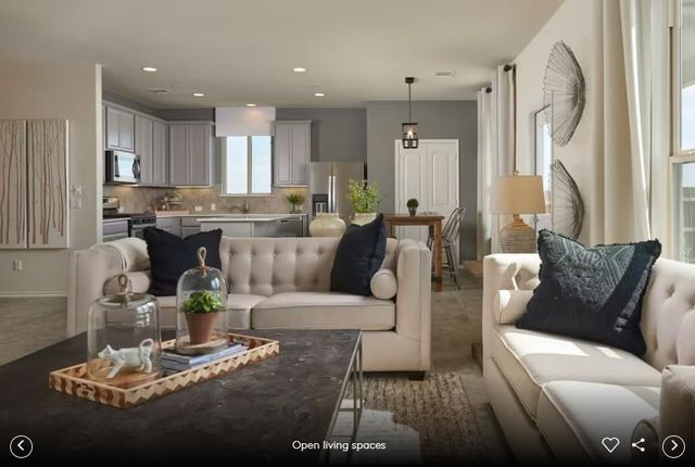 298 Begonia ST, Buda, TX 78610