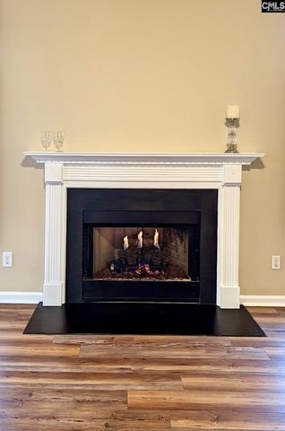 307 Bally Bunion Lane, Columbia, SC 29229