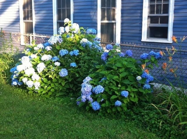 23 Germain St, Worcester, MA 01602