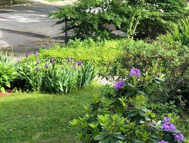 23 Germain St, Worcester, MA 01602