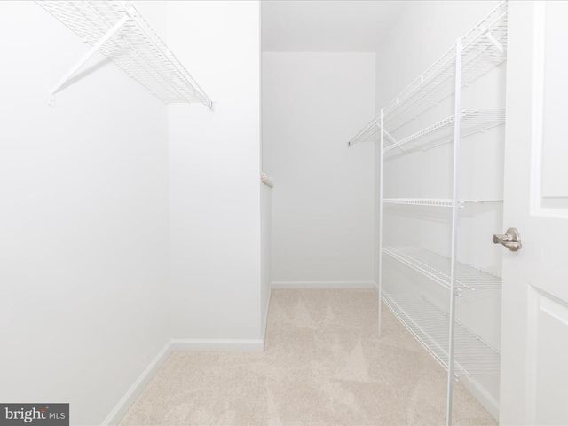 10020 BEERSE, Ijamsville, MD 21754