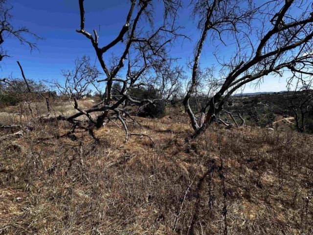 40 Oak Glen, Valley Center, CA 92082