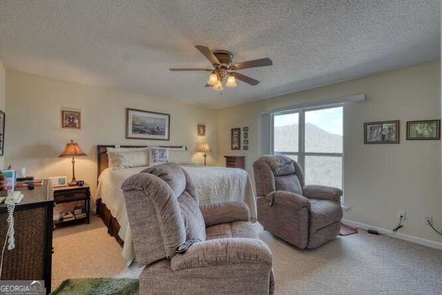 43 Little Beasley 125, Blairsville, GA 30512