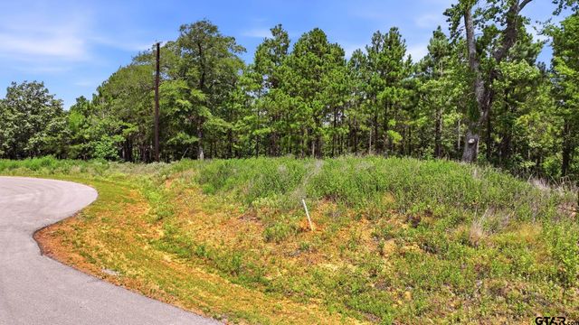 LOT 130 W Valley View Ct, Winona, TX 75792