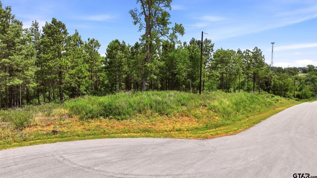 LOT 130 W Valley View Ct, Winona, TX 75792