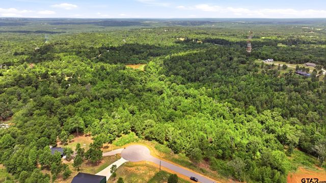 LOT 130 W Valley View Ct, Winona, TX 75792