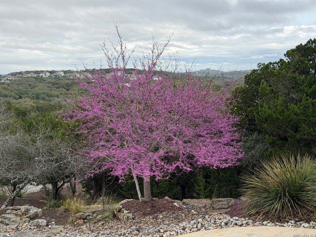 25011 Caliza, Boerne, TX 78006