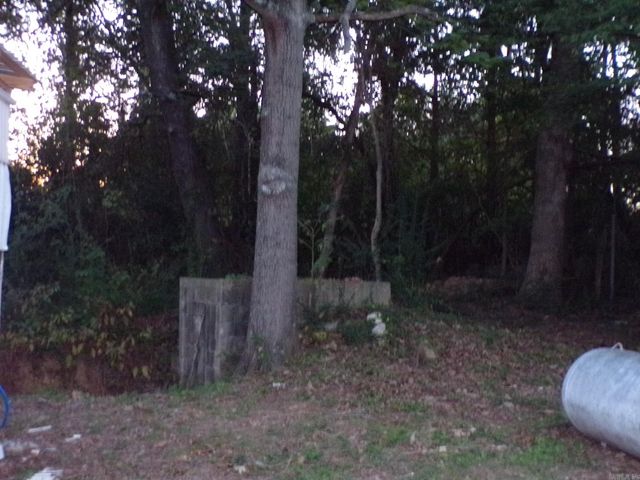 606 Alamo Drive, Mountain View, AR 72560