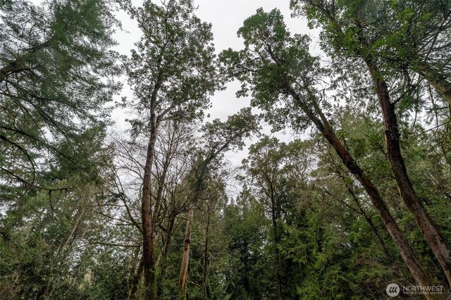 8900 Adams Lane NW, Olympia, WA 98502