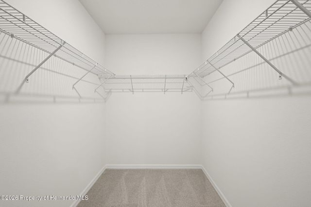 7201 RAY CREEK Drive, Brooksville, FL 34601