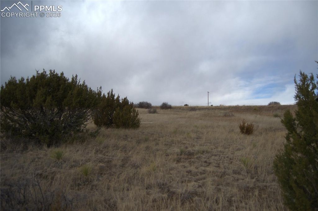 Rosemoore Drive, Colorado City, CO 81069 — photo 3