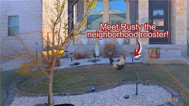 1232 Ella Crossing, New Braunfels, TX 78130