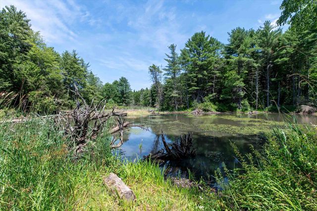 170 Needham Hill Road, Orwell, VT 05760