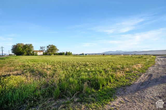 545 N 1600 W, Lewiston, UT 84320