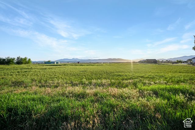 545 N 1600 W, Lewiston, UT 84320