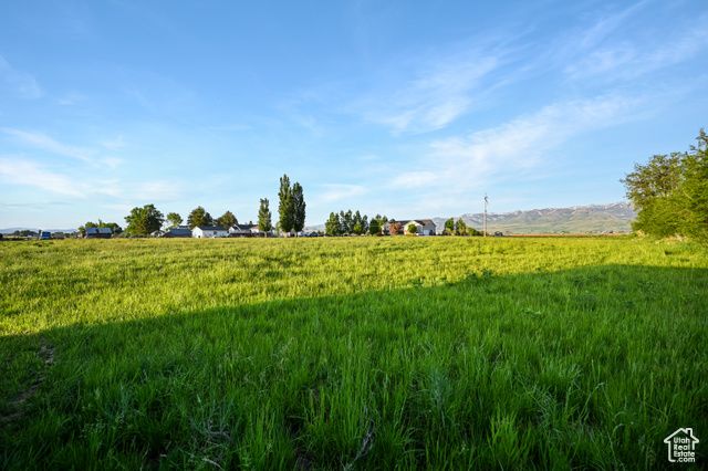 545 N 1600 W, Lewiston, UT 84320