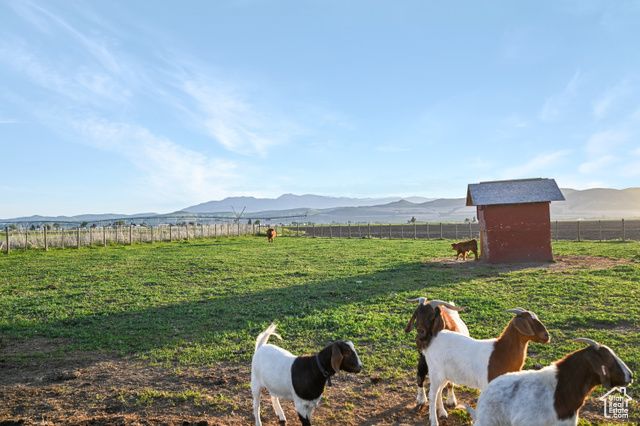 545 N 1600 W, Lewiston, UT 84320