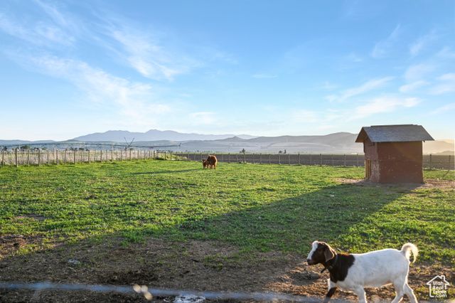 545 N 1600 W, Lewiston, UT 84320