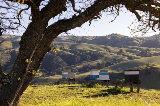 28000 Underwood Road, Salinas, CA 93908