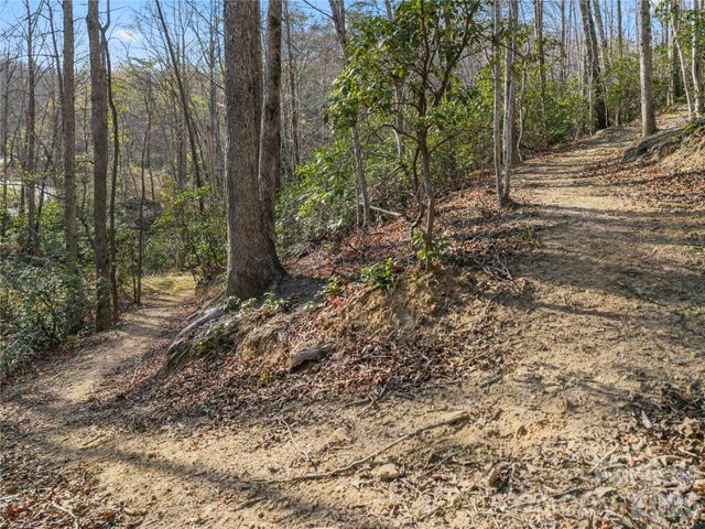430 Parkway North Road, Mill Spring, NC 28756