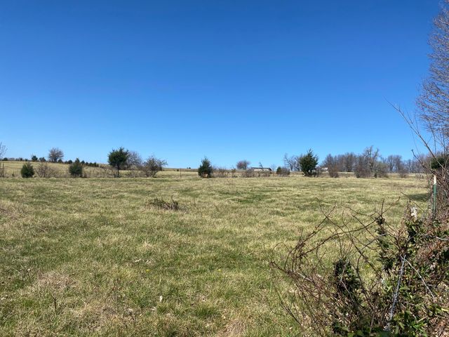 1536 S Outer Road, Mansfield, MO 65704