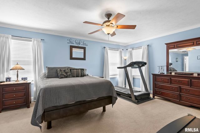 505 Willows Avenue, Chatham, IL 62629