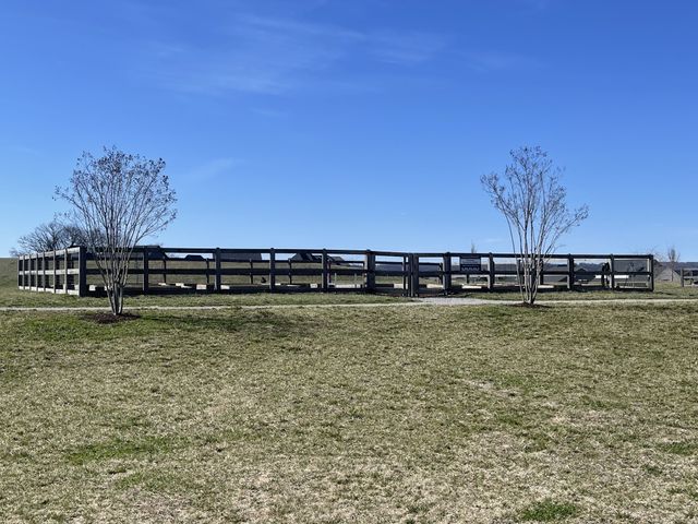 1032 Carraway Ln, Spring Hill, TN 37174